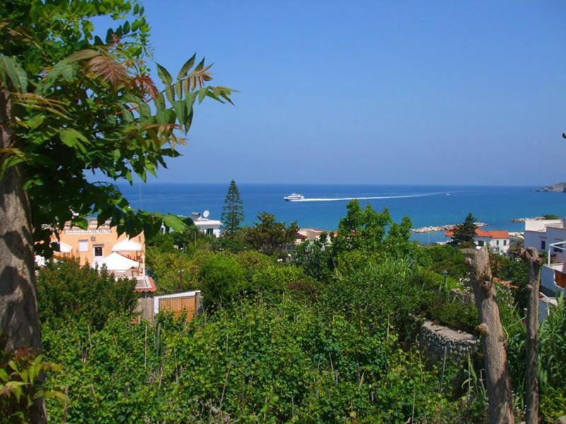 Albergo Villa Hibiscus Forio di Ischia Zewnętrze zdjęcie