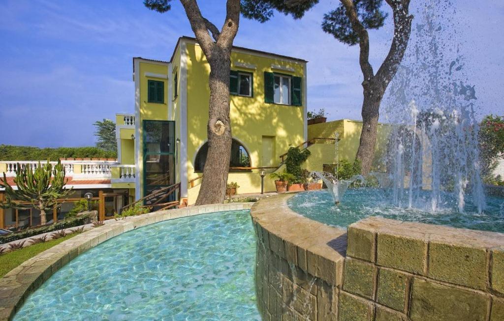 Albergo Villa Hibiscus Forio di Ischia Zewnętrze zdjęcie