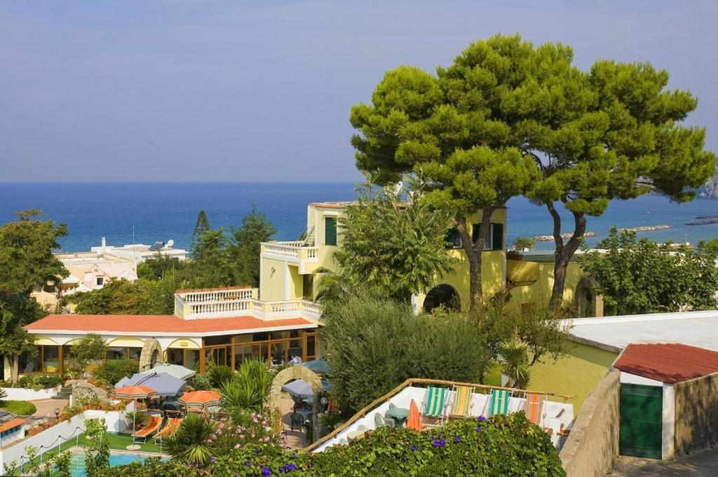 Albergo Villa Hibiscus Forio di Ischia Zewnętrze zdjęcie